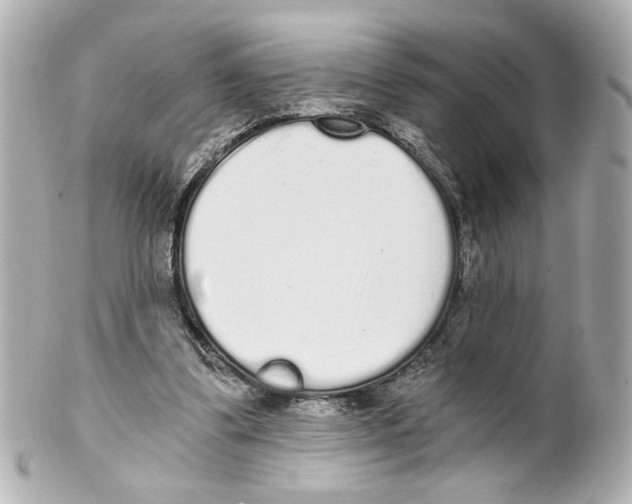 X0000101460299200808041048