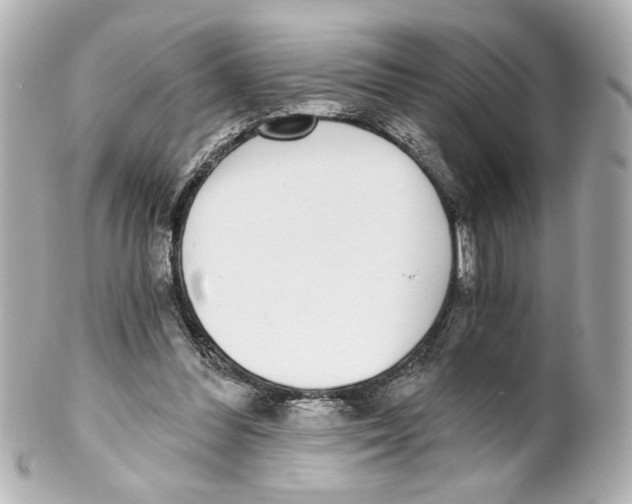 X0000101460300200808041048