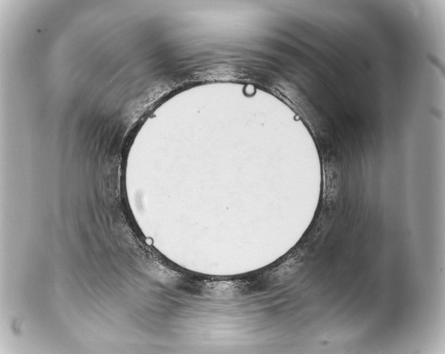 X0000101460301200808041048
