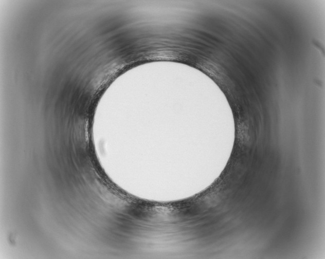 X0000101460302200808041048
