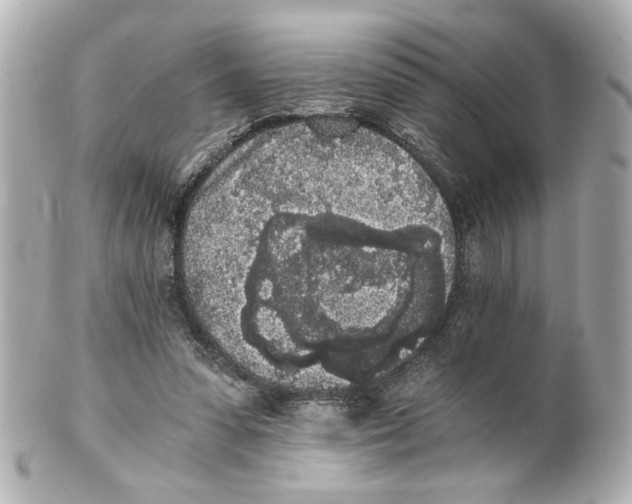 X0000101460303200808041048