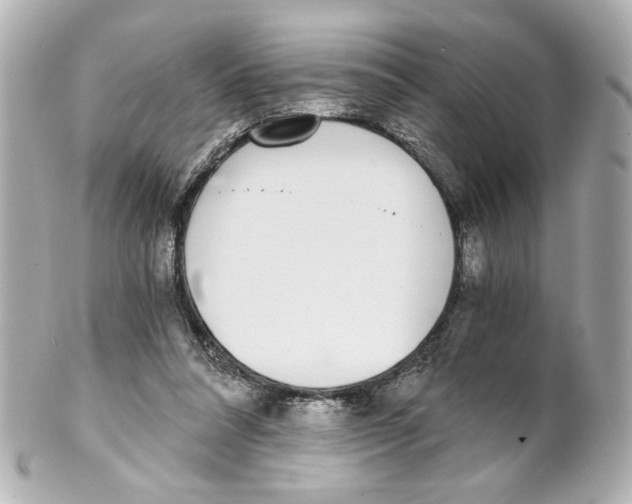 X0000101460304200808041048