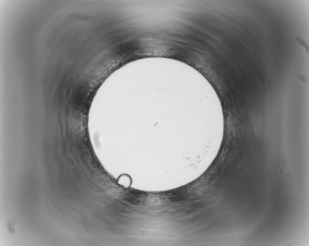 X0000101460305200808041048
