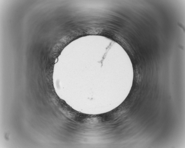 X0000101460307200808041048