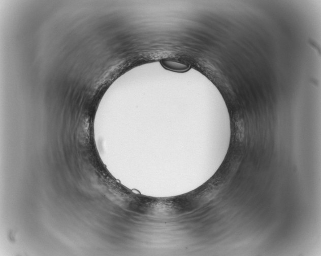 X0000101460308200808041048