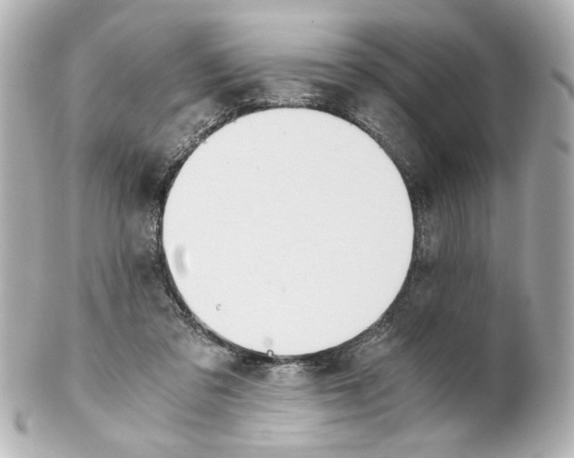 X0000101460309200808041048