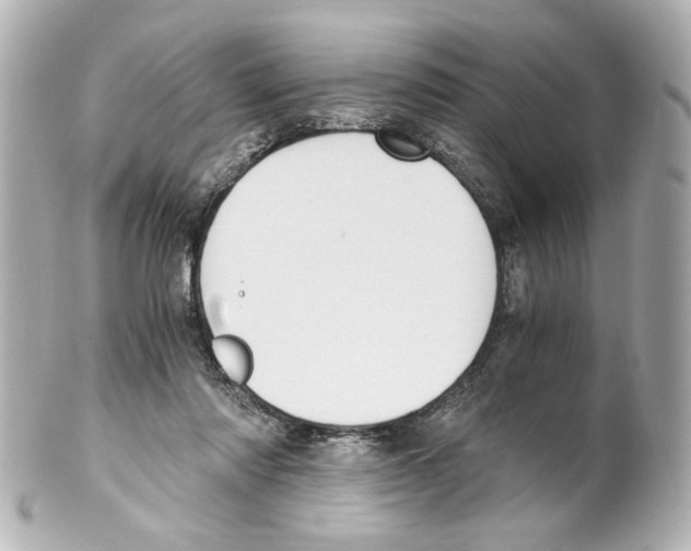 X0000101460310200808041048