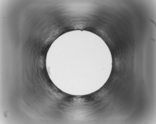 X0000101460311200808041048