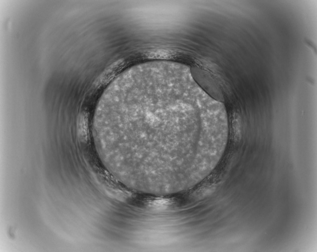 X0000101460312200808041048
