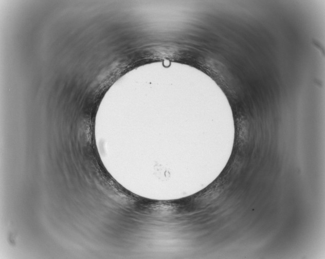 X0000101460313200808041048