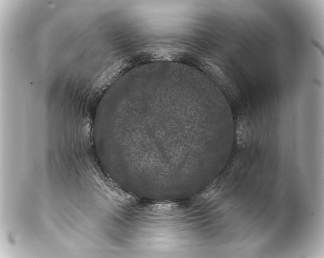 X0000101460314200808041048
