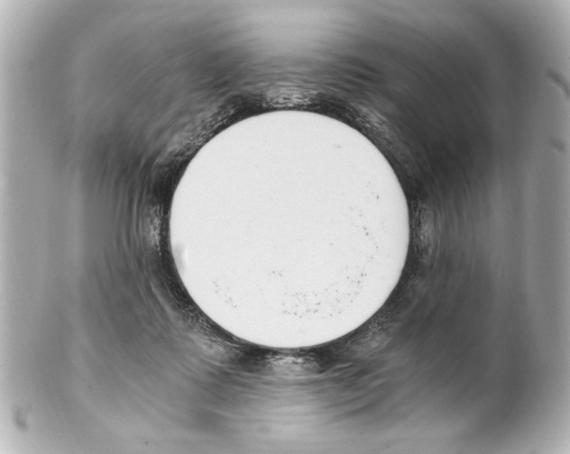 X0000101460315200808041048