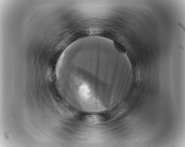 X0000101460316200808041048