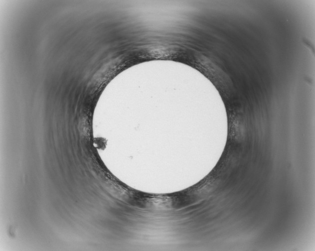 X0000101460317200808041048