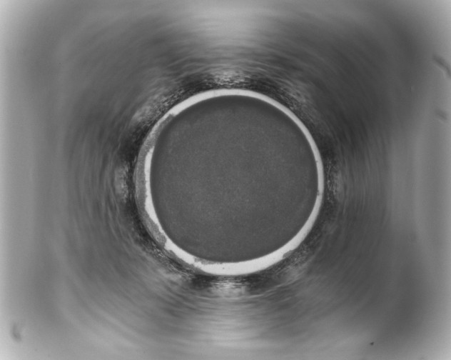 X0000101460319200808041048