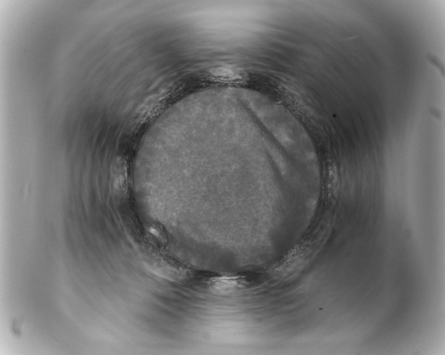 X0000101460320200808041048