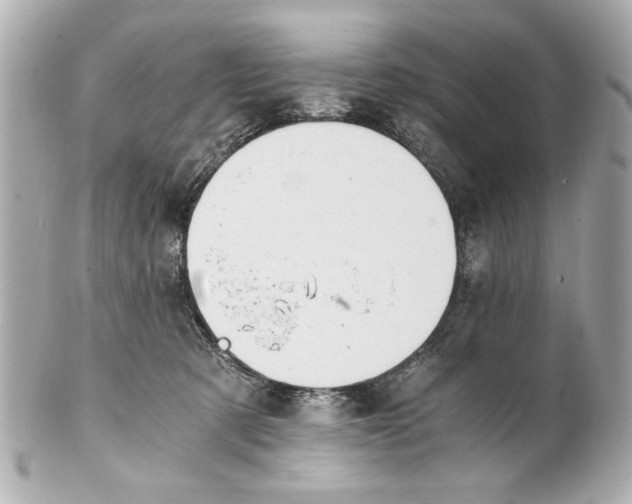 X0000101460321200808041048