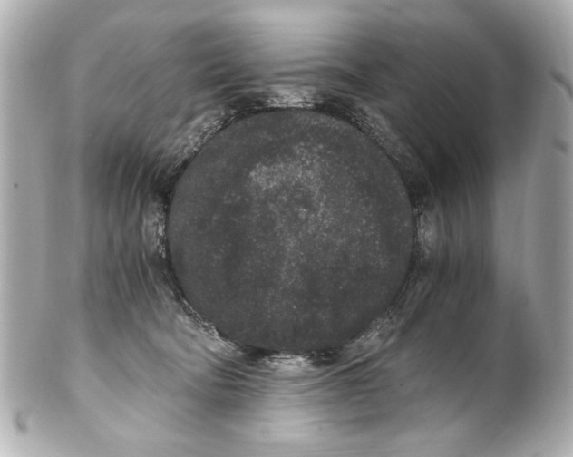 X0000101460322200808041048