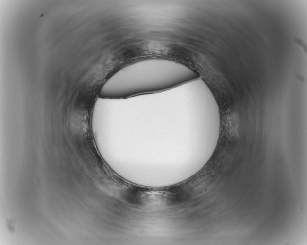 X0000101460323200808041048