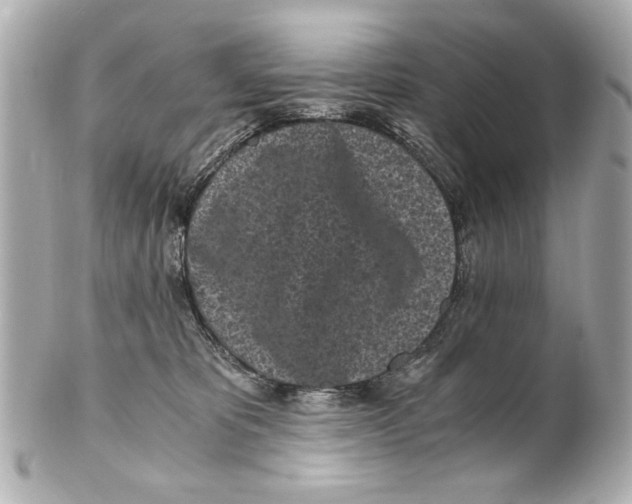 X0000101460325200808041048