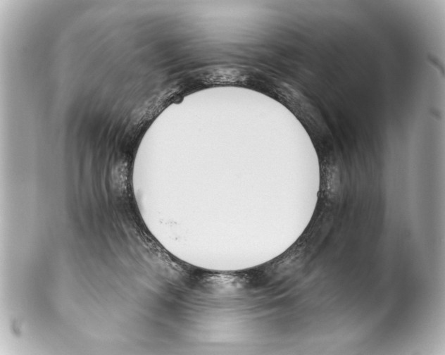 X0000101460326200808041048