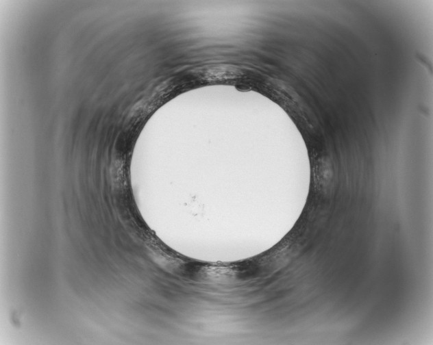 X0000101460327200808041048