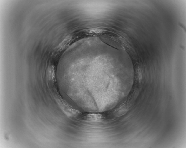 X0000101460328200808041048