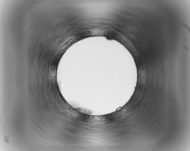 X0000101460329200808041048