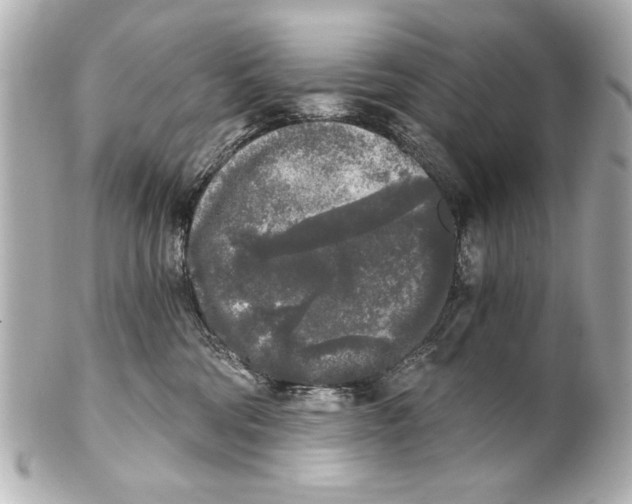 X0000101460330200808041048