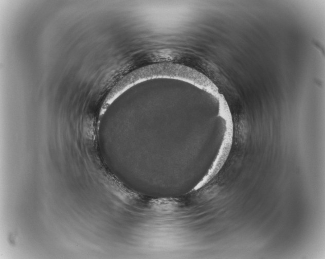 X0000101460331200808041048