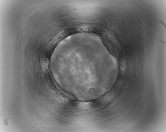 X0000101460332200808041048