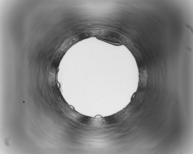 X0000101460333200808041048