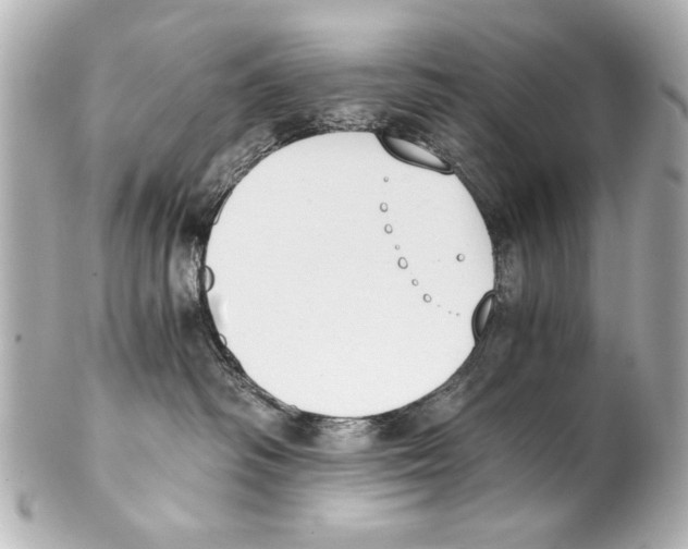 X0000101460334200808041048