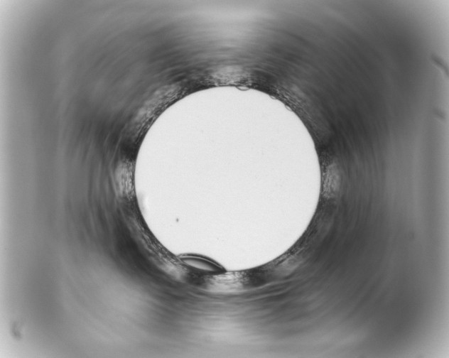 X0000101460335200808041048