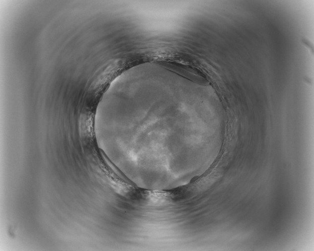 X0000101460336200808041048