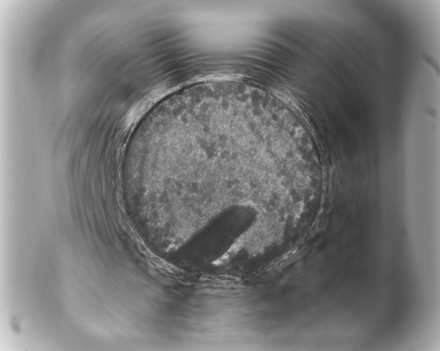 X0000101460337200808041047