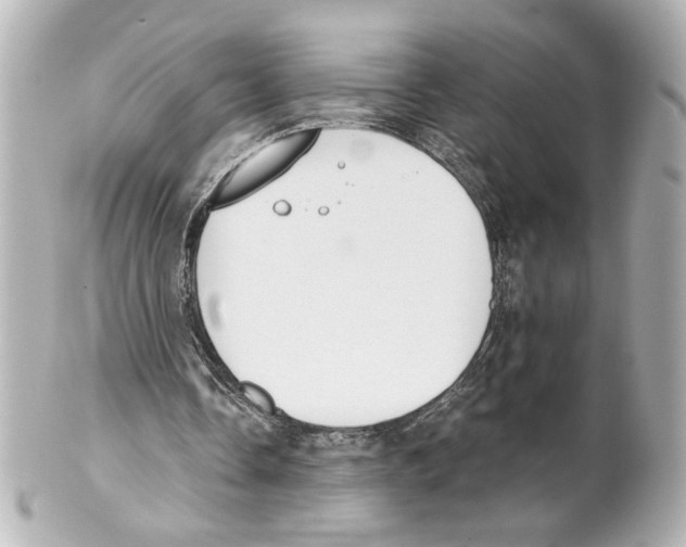 X0000101460338200808041047