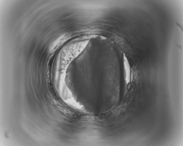X0000101460339200808041047