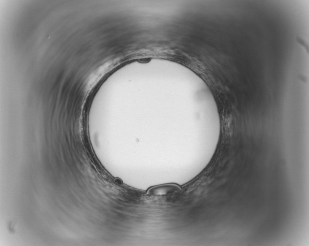 X0000101460340200808041047
