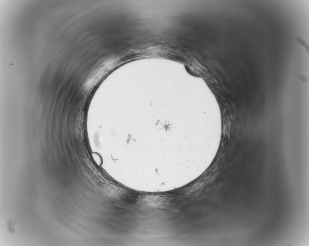 X0000101460341200808041047