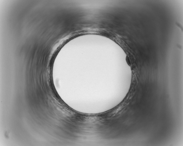 X0000101460342200808041047
