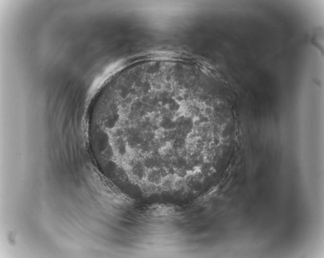 X0000101460343200808041047