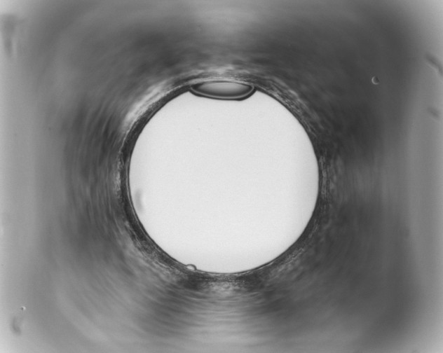 X0000101460344200808041047