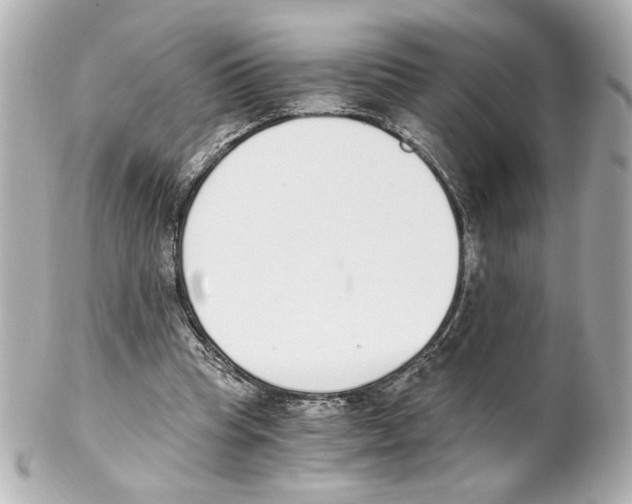 X0000101460345200808041047