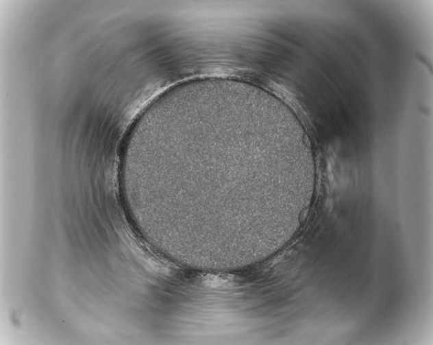 X0000101460346200808041047