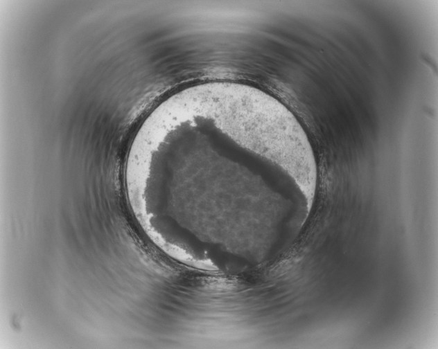 X0000101460347200808041047
