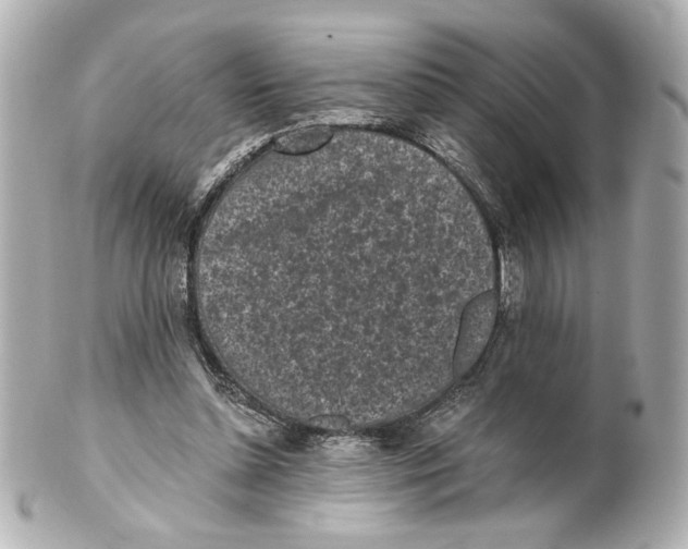 X0000101460348200808041047
