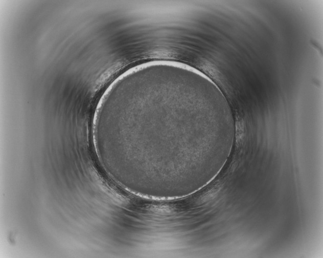 X0000101460349200808041047