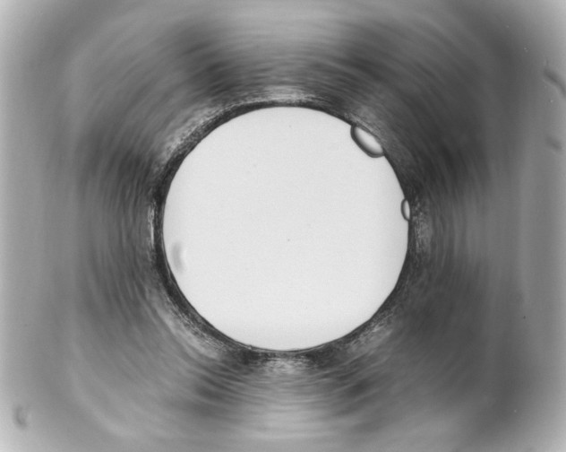 X0000101460350200808041047