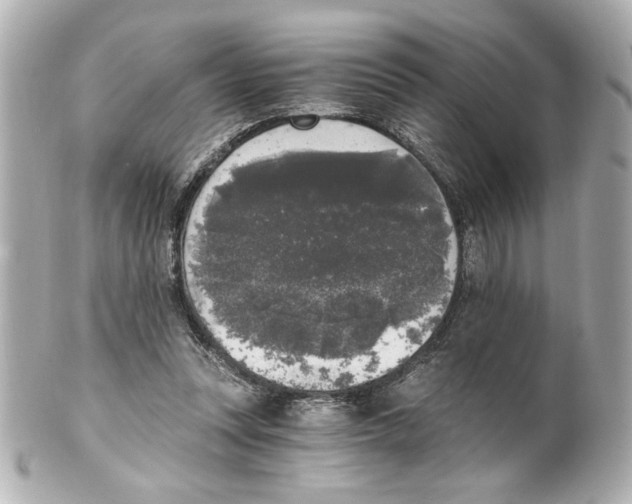 X0000101460351200808041047